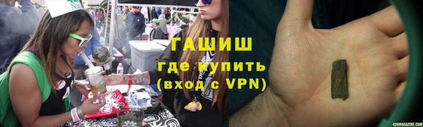 шишки Бородино