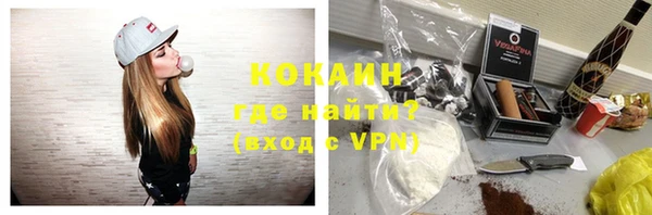 шишки Бородино