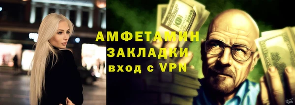 шишки Бородино