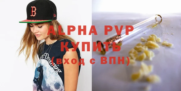 шишки Бородино