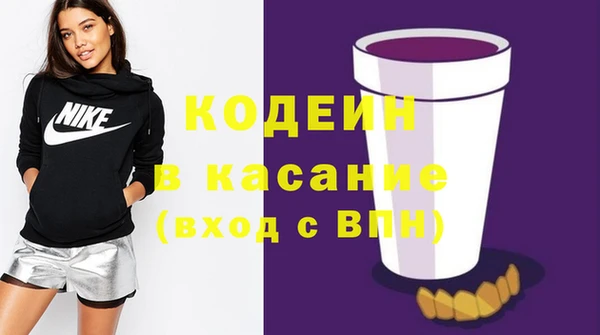 шишки Бородино