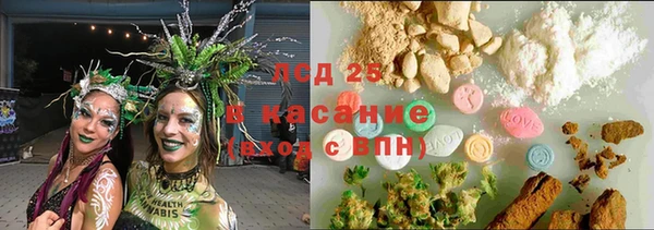 шишки Бородино