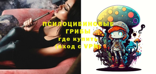 шишки Бородино