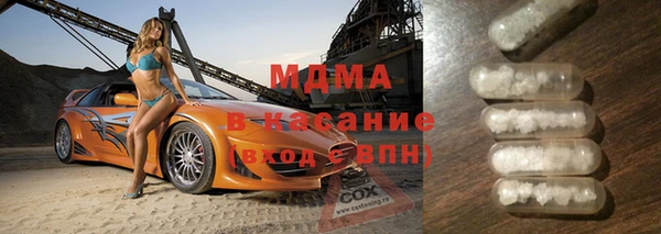 шишки Бородино