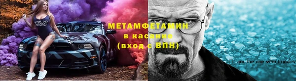 шишки Бородино