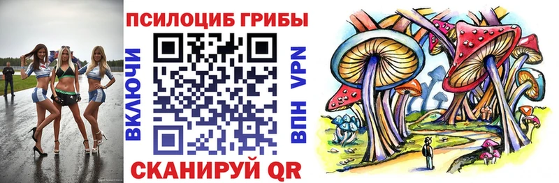 Галлюциногенные грибы GOLDEN TEACHER  Невель 