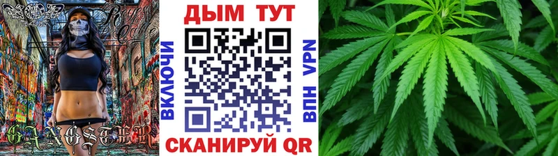 Бошки Шишки план  Невель 